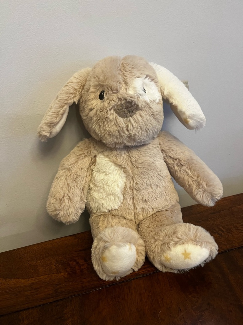 Cloud B Plush Patch the Puppy Baby Sound Machine